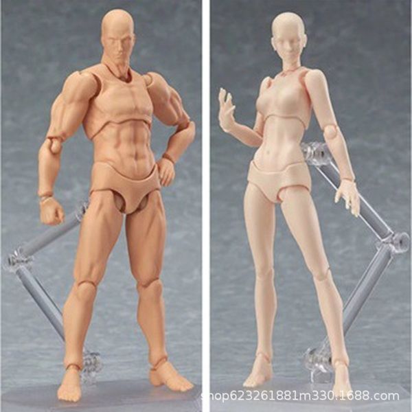 figma plastid 2.0 painting props male and female youth skin color model 
figma plastid 2.0 painting props male and female youth skin color model