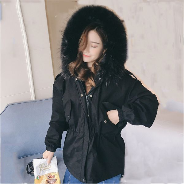2021 new cotton winter jacket thick coat for women fur collor hooded down parka warm female coats pp162 qgvt, Black
2021 new cotton winter jacket thick coat for women fur collor hooded down parka warm female coats pp162 qgvt, Black