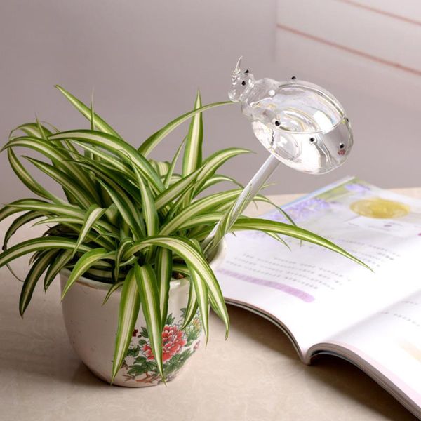 watering equipments plant waterer self bulb hand blown clear glass globe for indoor potted plants
watering equipments plant waterer self bulb hand blown clear glass globe for indoor potted plants