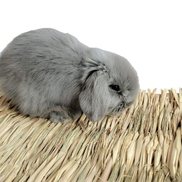 natural grass hamster bed grass mat nest cage safe chew toy for guinea pig woven bed pets house pet supply
natural grass hamster bed grass mat nest cage safe chew toy for guinea pig woven bed pets house pet supply