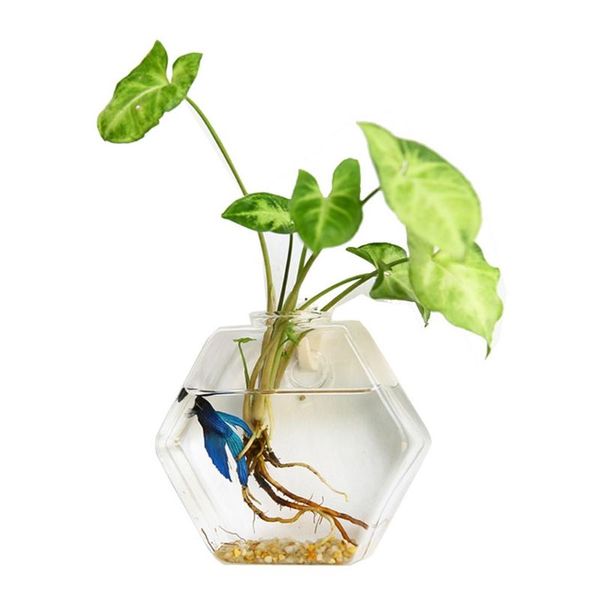 other home decor hexagon shape wall hanging plant terrarium geometric glass planter transparent vase diy bottle flower pot for office
other home decor hexagon shape wall hanging plant terrarium geometric glass planter transparent vase diy bottle flower pot for office