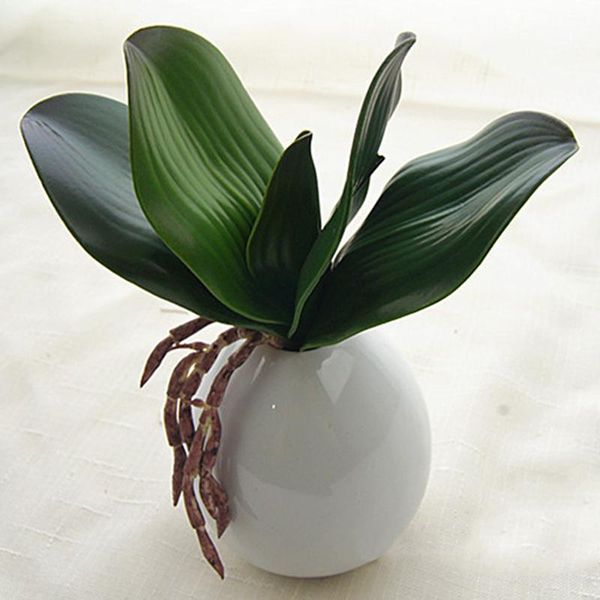 real touch phalaenopsis leaf artificial plant leaf decorative flowers auxiliary meterial flower decoration orchid leaves
real touch phalaenopsis leaf artificial plant leaf decorative flowers auxiliary meterial flower decoration orchid leaves