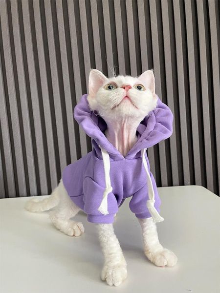cat costumes chic hairless clothes sphinx devon cotton hooded sweater autumn winter models kitten sphynx
cat costumes chic hairless clothes sphinx devon cotton hooded sweater autumn winter models kitten sphynx