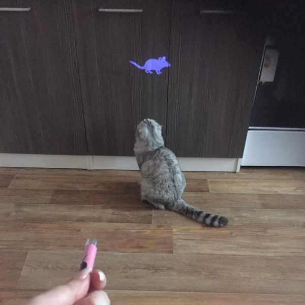small animal supplies 1pc cat toy creative and funny pet toys led pointer light pen with bright animation mouse harmless to eyes interactive
small animal supplies 1pc cat toy creative and funny pet toys led pointer light pen with bright animation mouse harmless to eyes interactive