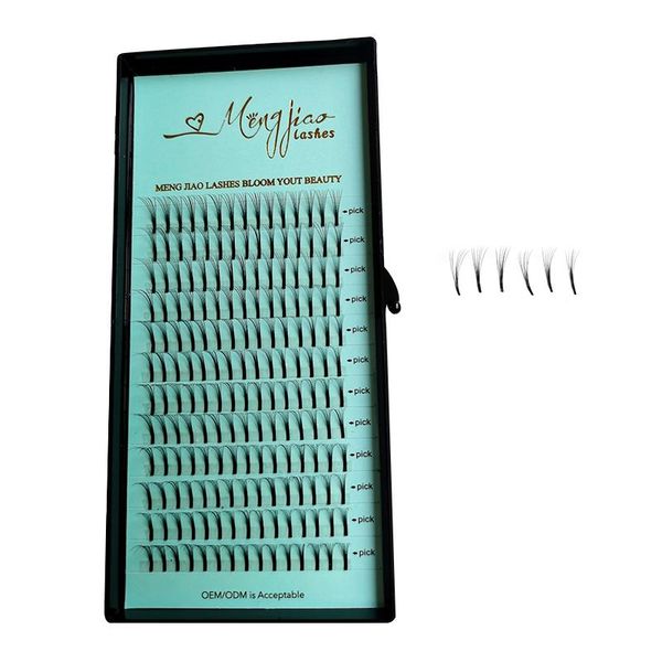 false eyelashes 6d premade fans eyelash extension 0.1 russian volume c/d easy lashes accept make own logo wholesale price
false eyelashes 6d premade fans eyelash extension 0.1 russian volume c/d easy lashes accept make own logo wholesale price