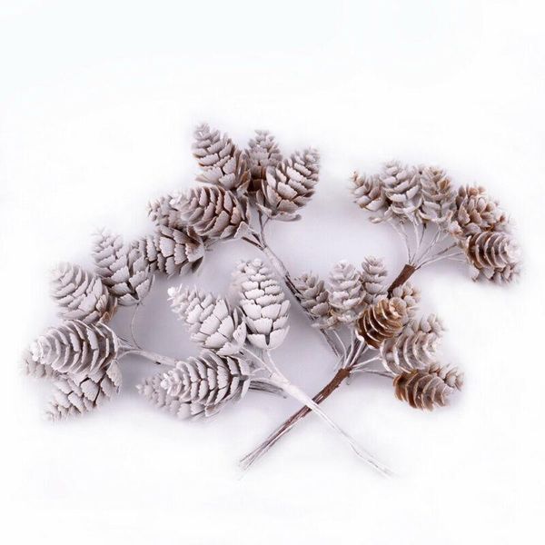 10pcs artificial plants fake pine cone decorative christmas wreath home decor diy gifts handmade
10pcs artificial plants fake pine cone decorative christmas wreath home decor diy gifts handmade