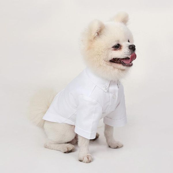 dog apparel black white shirt cat pets clothing spring and autumn pet bottoming light easy to clean clothes
dog apparel black white shirt cat pets clothing spring and autumn pet bottoming light easy to clean clothes