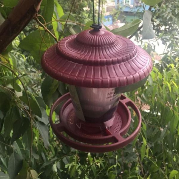 other bird supplies feeder waterproof pet plastic hanging food container outdoor window viewing garden decoration hhwgj341
other bird supplies feeder waterproof pet plastic hanging food container outdoor window viewing garden decoration hhwgj341