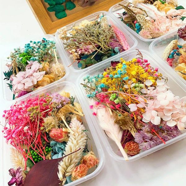 decorative flowers & wreaths dried flower dry plants for candle epoxy resin pendant necklace jewelry making craft diy home acce
decorative flowers & wreaths dried flower dry plants for candle epoxy resin pendant necklace jewelry making craft diy home acce