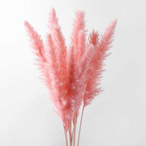 decorative flowers & wreaths 10pcs bulrush natural dried artificial plants branch pampas grass phragmites fake flower wedding home decoratio
decorative flowers & wreaths 10pcs bulrush natural dried artificial plants branch pampas grass phragmites fake flower wedding home decoratio