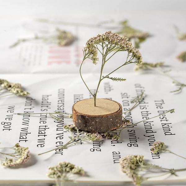 yarrow flower with branches real plant specimen teaching diy manual p frame bookmark mobile phone case painting dry festival gift design
yarrow flower with branches real plant specimen teaching diy manual p frame bookmark mobile phone case painting dry festival gift design