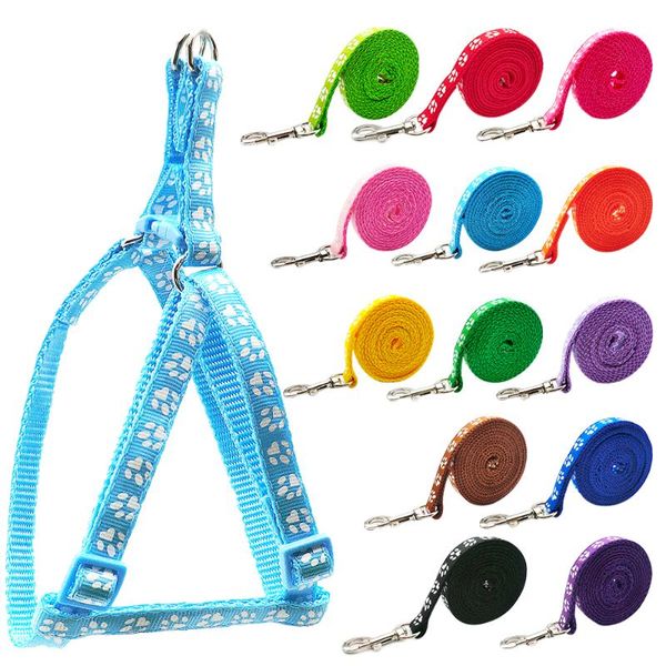 dog collars & leashes 24sets adjustable pet colorful harness set printed cat lead leash training walking supplies
dog collars & leashes 24sets adjustable pet colorful harness set printed cat lead leash training walking supplies