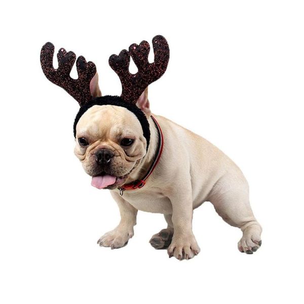 dog apparel cute moose antlers headbands adjustable pet cat hair accessories headband
dog apparel cute moose antlers headbands adjustable pet cat hair accessories headband