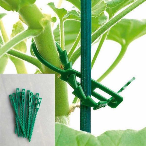 other garden supplies 20pcs/50pcs/100pcs reusable 13 cm plastic plant support clamp hanging vine greenhouse vegetable tomato
other garden supplies 20pcs/50pcs/100pcs reusable 13 cm plastic plant support clamp hanging vine greenhouse vegetable tomato