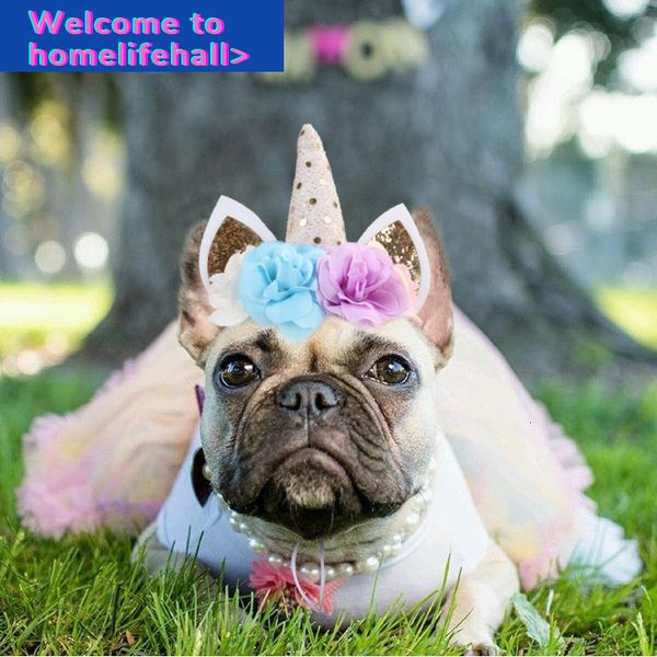 clothing clothes suppliesins hooded accessories princess headgear dog halloween handmade hat cat dress
clothing clothes suppliesins hooded accessories princess headgear dog halloween handmade hat cat dress