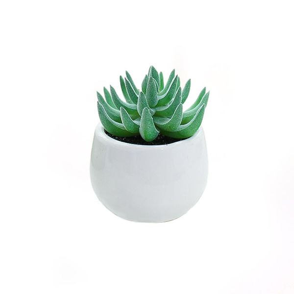 potted succulents artificial plants bonsai miniature tree home decorations living room fake green materials creative decoration
potted succulents artificial plants bonsai miniature tree home decorations living room fake green materials creative decoration
