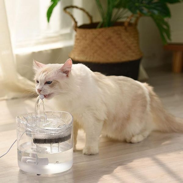cat bowls & feeders pet dog water fountain automatic circulation dispenser transparent drinker drinking feeder 2 filters motion sensor
cat bowls & feeders pet dog water fountain automatic circulation dispenser transparent drinker drinking feeder 2 filters motion sensor