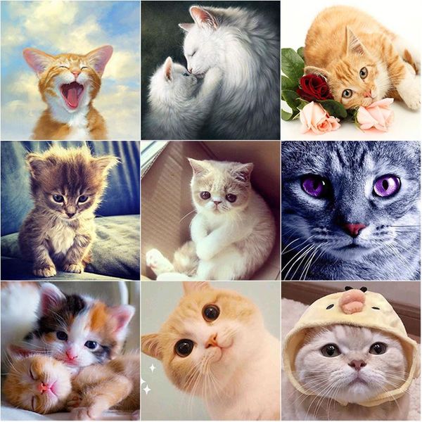 diamond painting 5d diy full round square drill rhinestone cat embroidery picture cross stitch handmade home decor gift
diamond painting 5d diy full round square drill rhinestone cat embroidery picture cross stitch handmade home decor gift
