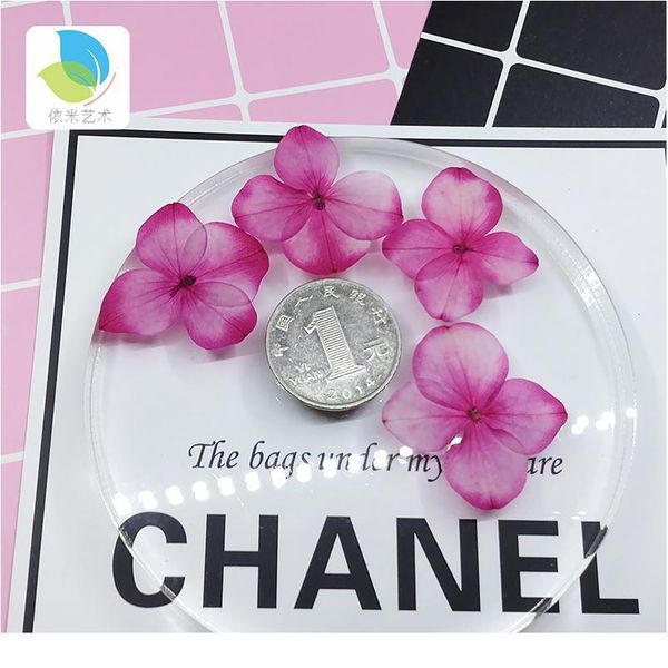 hydrangea small real dried flower dry plants for candle epoxy resin pendant necklace jewelry making craft diy a qylfqk
hydrangea small real dried flower dry plants for candle epoxy resin pendant necklace jewelry making craft diy a qylfqk