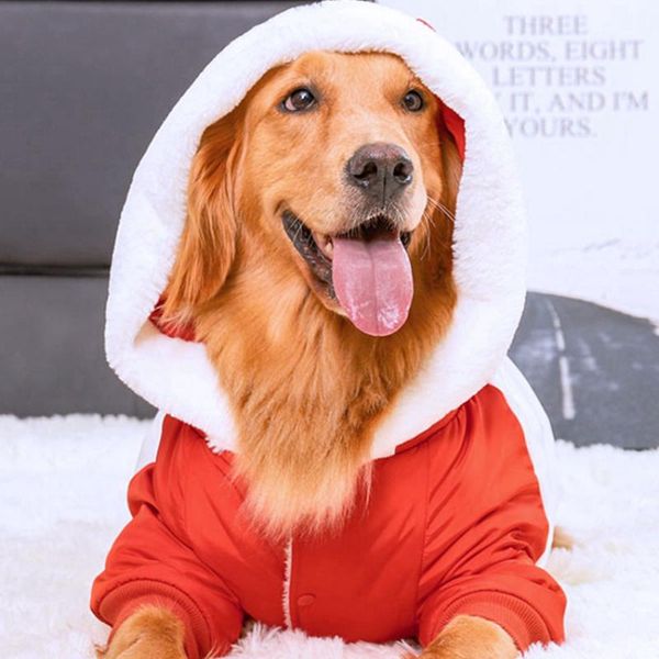 dog apparel big clothes golden hair edge animal husbandry labrador samoyed medium-sized large dogs warm autumn and winter thick padded
dog apparel big clothes golden hair edge animal husbandry labrador samoyed medium-sized large dogs warm autumn and winter thick padded