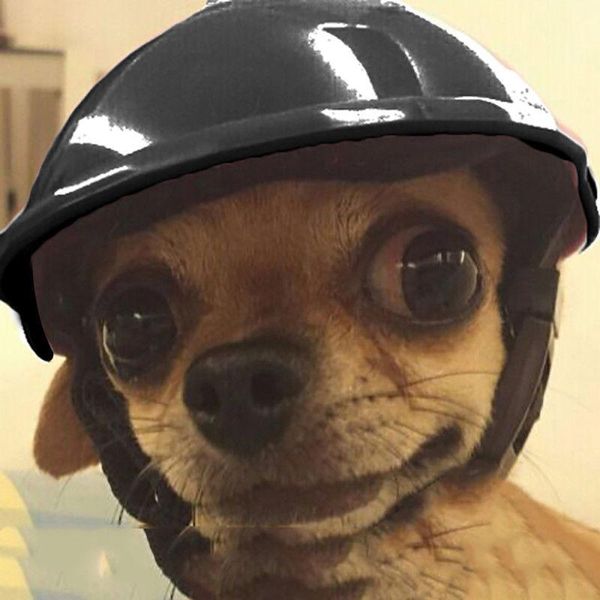 dog apparel pet motorcycle bike helmet cap hat for sun rain protection halloween dress up mf999
dog apparel pet motorcycle bike helmet cap hat for sun rain protection halloween dress up mf999