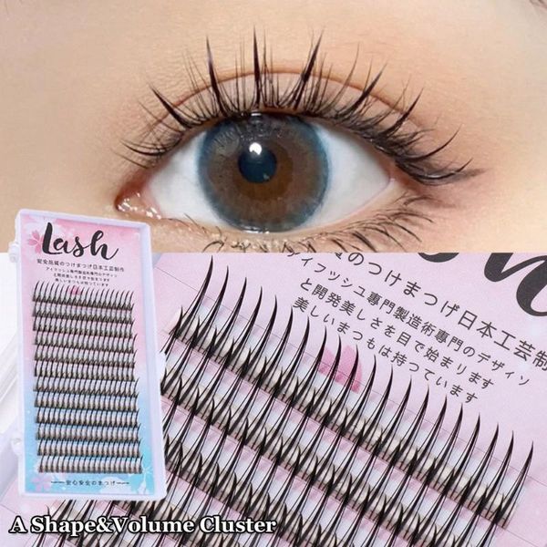 false eyelashes apply personal salon use long lasting extension natural premade volume fan a shape&volume cluster mixed
false eyelashes apply personal salon use long lasting extension natural premade volume fan a shape&volume cluster mixed