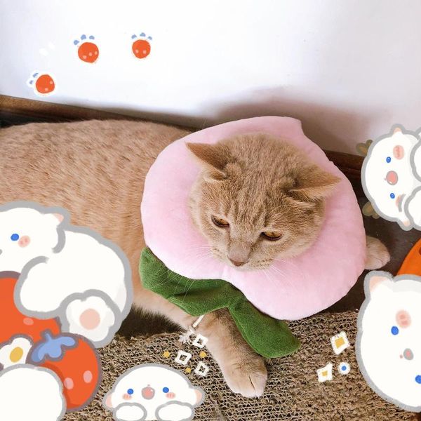 cat collars & leads adjustable collar anti licking biting fruit pattern pet sterilization circle anti-licking, anti-biting
cat collars & leads adjustable collar anti licking biting fruit pattern pet sterilization circle anti-licking, anti-biting