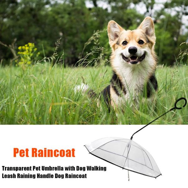 outdoor pet umbrella leash plastic pet raincoat raining handle walk for household animal dogs accessories
outdoor pet umbrella leash plastic pet raincoat raining handle walk for household animal dogs accessories