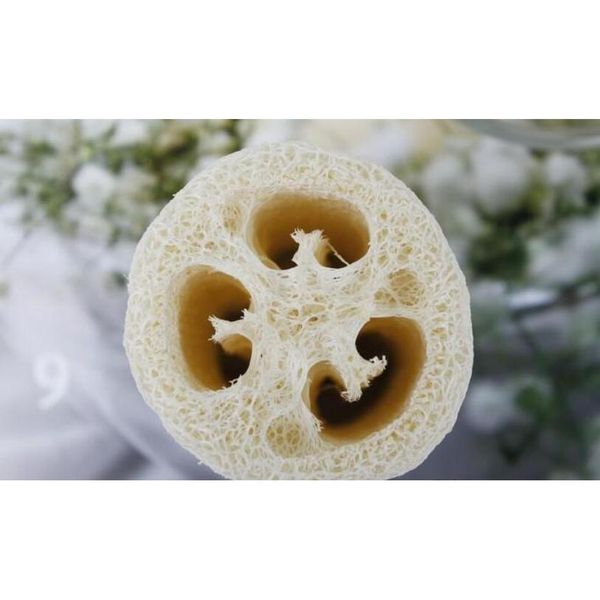 natural loofah sponge bath peeling brush scrubber skin care exfoliating tan shower sponge mas puff loofa mesh spo jllech insyard
natural loofah sponge bath peeling brush scrubber skin care exfoliating tan shower sponge mas puff loofa mesh spo jllech insyard