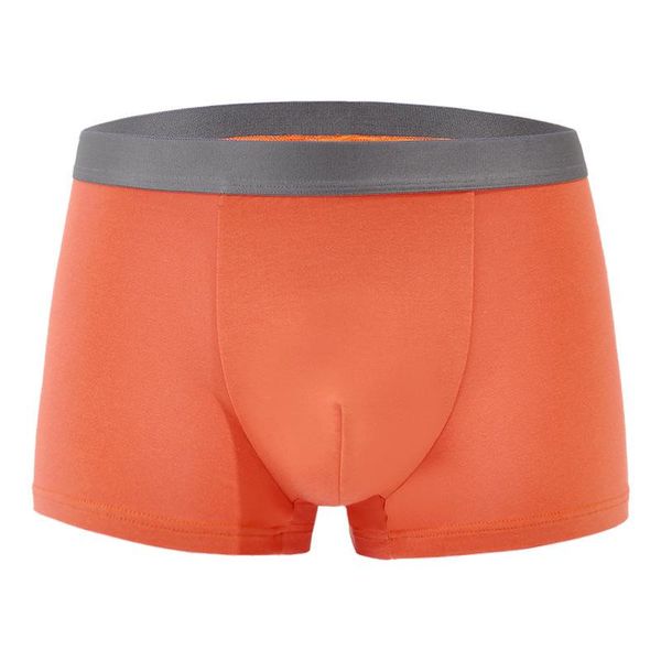 underpants men underwear cotton comfortable boxers plus size mens cueca panties masculina calzoncillos hombre male boxer shorts, Black;white
underpants men underwear cotton comfortable boxers plus size mens cueca panties masculina calzoncillos hombre male boxer shorts, Black;white
