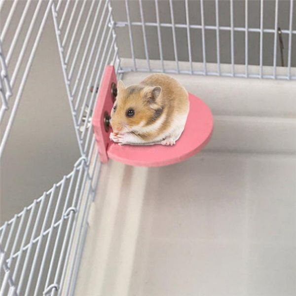 small animal supplies 1pc pet hamster platform bracket rack toy colorful ecological board round squirrel cage accessories
small animal supplies 1pc pet hamster platform bracket rack toy colorful ecological board round squirrel cage accessories