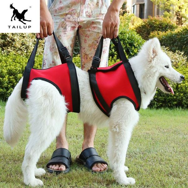 dog collars & leashes vest lift support harness old disabled pet accessories dogs collar auxiliary strap supplies lifting for
dog collars & leashes vest lift support harness old disabled pet accessories dogs collar auxiliary strap supplies lifting for
