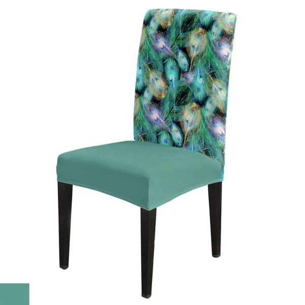 chair covers 6/8piece green peacock feathers print cover dining elastic spandex stretch anti-dirty removable
chair covers 6/8piece green peacock feathers print cover dining elastic spandex stretch anti-dirty removable