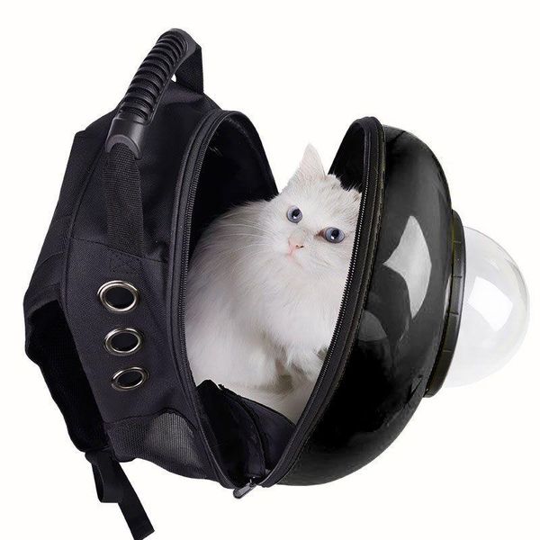 dog car seat covers cat bag breathable pet backpack portable puppy carrier outdoor travel shoulder bags transparent space cave supplies
dog car seat covers cat bag breathable pet backpack portable puppy carrier outdoor travel shoulder bags transparent space cave supplies
