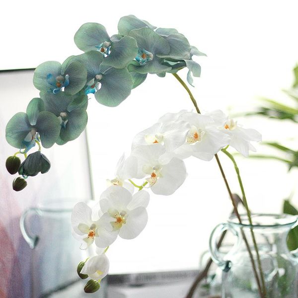 decorative flowers & wreaths 1pc real touch latex artificial moth orchid butterfly flower for home wedding festival decoration
decorative flowers & wreaths 1pc real touch latex artificial moth orchid butterfly flower for home wedding festival decoration