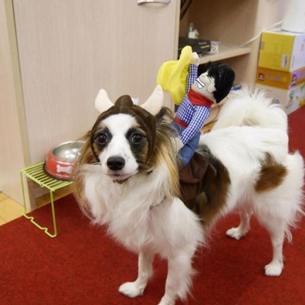 dog apparel halloween riding costumes dolls cowboy knights jin mao teddy personality funny clothes fashion
dog apparel halloween riding costumes dolls cowboy knights jin mao teddy personality funny clothes fashion