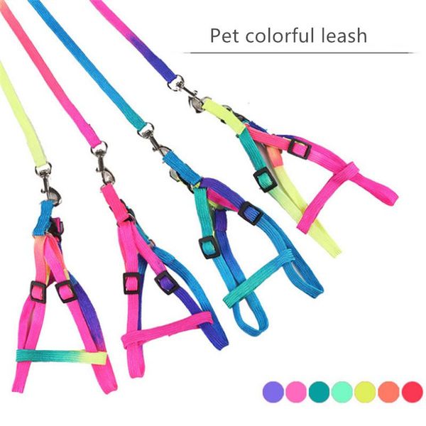 dog collars & leashes colorful pet traction chest strap wear-resistant and durable nylon leash adjustable small cat accessories
dog collars & leashes colorful pet traction chest strap wear-resistant and durable nylon leash adjustable small cat accessories