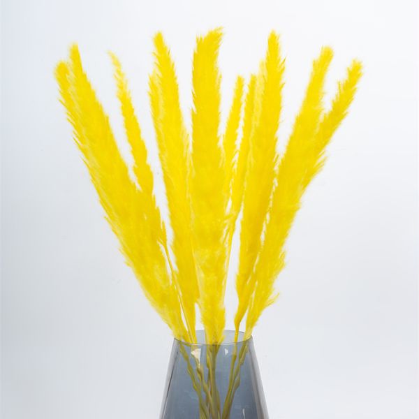 15pcs real dried reed flowers bouquet home wedding decoration table flores preservadas natural pampas grass decor for room
15pcs real dried reed flowers bouquet home wedding decoration table flores preservadas natural pampas grass decor for room