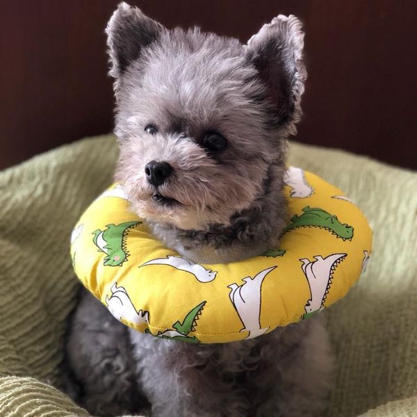 12 style soft puppy cat anti-biting circle cozy pet dog neck collar for small dogs yorkie chihuahua dog accessories pet supplies
12 style soft puppy cat anti-biting circle cozy pet dog neck collar for small dogs yorkie chihuahua dog accessories pet supplies