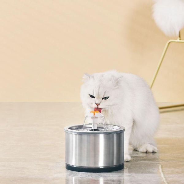 cat bowls & feeders 2.5l stainless steel water fountain ultra quiet pump with blue led light 4pcs activated carbon filter
cat bowls & feeders 2.5l stainless steel water fountain ultra quiet pump with blue led light 4pcs activated carbon filter