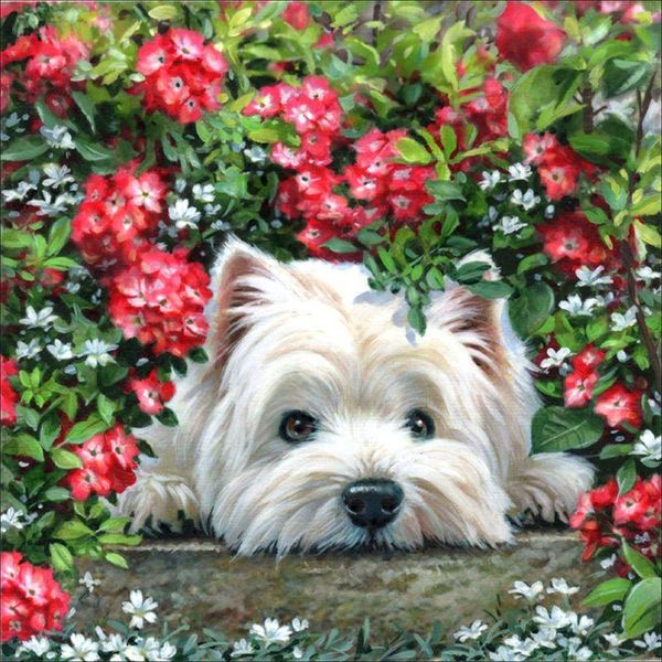 diamond painting kneeling dog diy 5d full drill embroidery cross stitch crystal
diamond painting kneeling dog diy 5d full drill embroidery cross stitch crystal