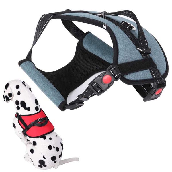 dog collars & leashes harnesses vests chest for and pet collar adjustable soft comfort products all
dog collars & leashes harnesses vests chest for and pet collar adjustable soft comfort products all