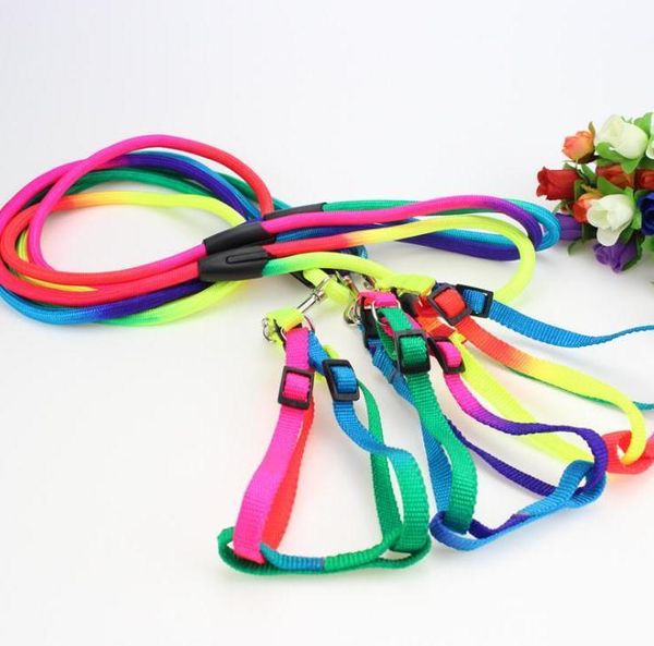 200pcs nylon adjustable training lead pet dog leash dog strap rope traction harness collar lead wholesale
200pcs nylon adjustable training lead pet dog leash dog strap rope traction harness collar lead wholesale