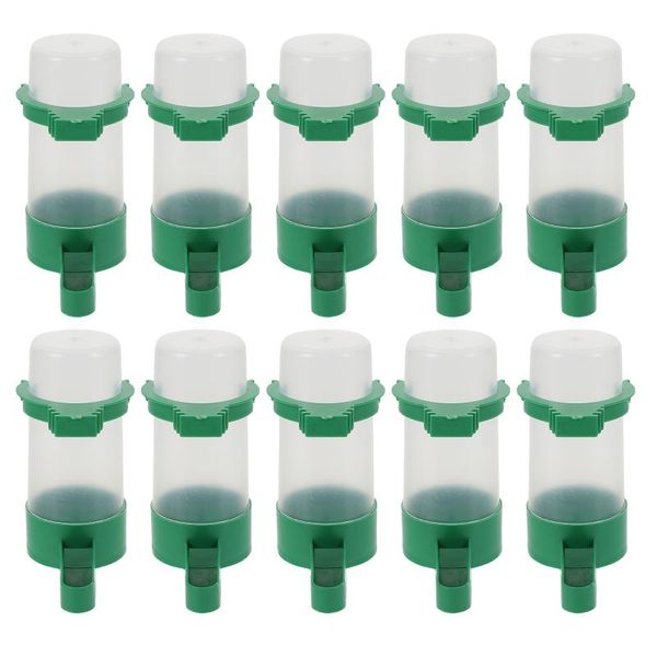 other bird supplies 10pcs parrot water feeding storage cup feeder waterer drink dispenser
other bird supplies 10pcs parrot water feeding storage cup feeder waterer drink dispenser