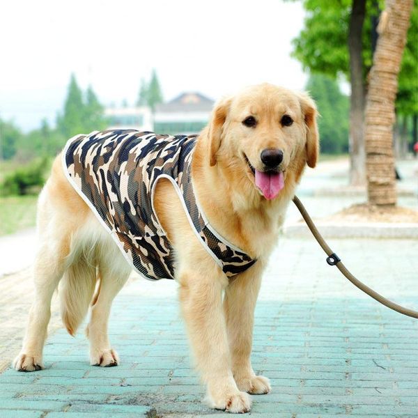 dog apparel 5size for chioce pet clothes coat jacket dogs puppy breathable net camouflage color
dog apparel 5size for chioce pet clothes coat jacket dogs puppy breathable net camouflage color