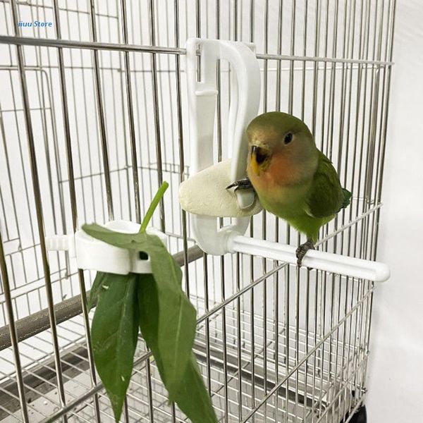 other bird supplies birds food holder pet parrot feeding fruit vegtable clip cuttlefish bone feeder
other bird supplies birds food holder pet parrot feeding fruit vegtable clip cuttlefish bone feeder