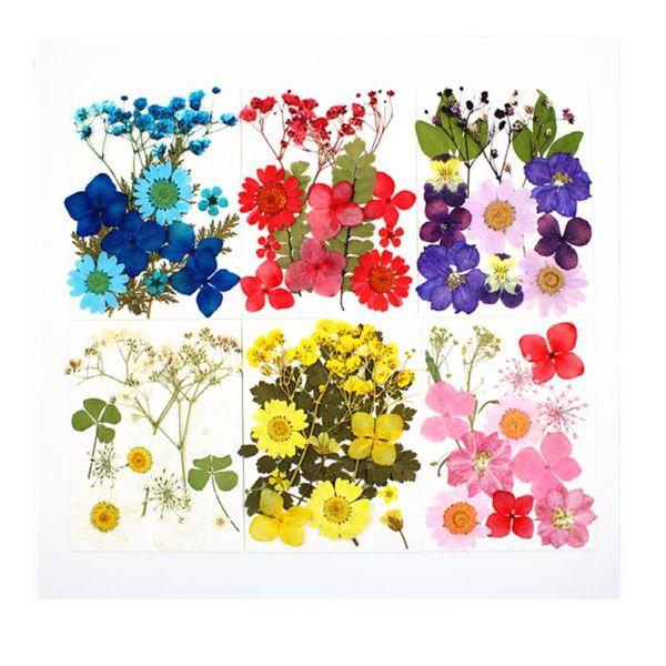 72 pcs real mix dried flowers for jewelry resin dried plants pressed flowers for crafts diy accessories art floral decoration
72 pcs real mix dried flowers for jewelry resin dried plants pressed flowers for crafts diy accessories art floral decoration
