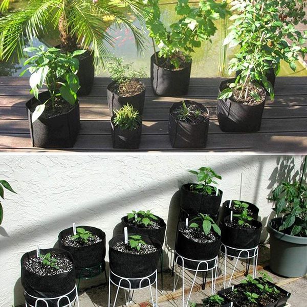 planters & pots 5pcs breathable grow bag plants fabric with strap handles round planting container bags nursery pot gallon
planters & pots 5pcs breathable grow bag plants fabric with strap handles round planting container bags nursery pot gallon
