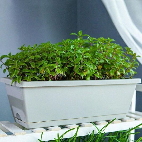 planters & pots rectangular planting trough family balcony large and vegetables for pot extra groove flowers r8d5
planters & pots rectangular planting trough family balcony large and vegetables for pot extra groove flowers r8d5