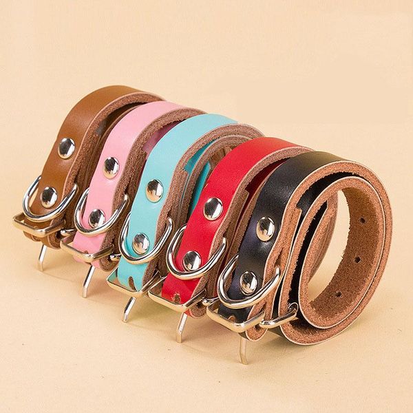 dog collars & leashes 100% genuine leather collar adjustable soft puppy cat necklace strap for small medium dogs pet supplies
dog collars & leashes 100% genuine leather collar adjustable soft puppy cat necklace strap for small medium dogs pet supplies